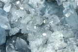 Sparkling Celestine (Celestite) Geode Section - Madagascar #364722-1